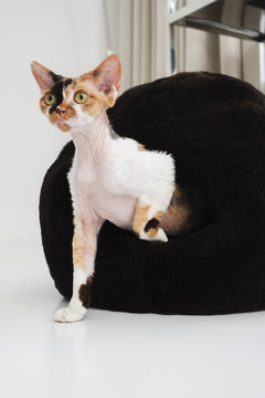 Nest Natural Sheepskin Pet Bed - Brown-3